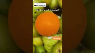 What color is the orange? #testyourintuition #coffeeshop #turbotaxandrelax #turbotax #meme