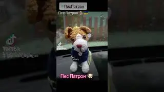 Пес Патрон 🐶 #diy #tiktokvideo #toys #іграшки #crochet #instagram #crochettoys #tiktok #crochettoys