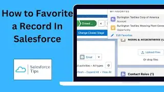 Organizing Salesforce: How to Favorite a Record In Salesforce