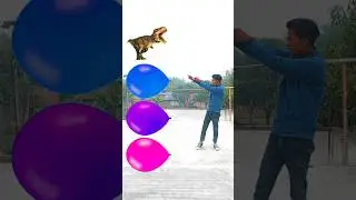 new funny magicto animals name & vfx video tutorial #shorts #youtubeshorts #vfx #viral