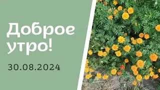 Доброе утро! 30.08.2024