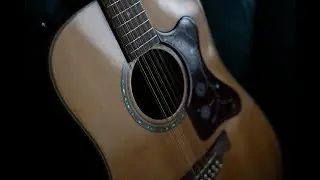 Crafter 12 string