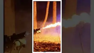 Робот-пёс со встроенным огнемётом! (🎥 - @Throwflame)