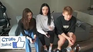 Монке сквад дигустируют напитки|перезалив.