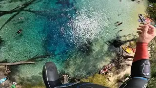 Best tree jump view in Florida 💎🤙🏼