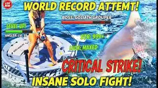 Craziest Fishing Videos Ever Seen! There’s Always A Bigger Fish Sharks