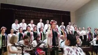 Українська народна пісня - "Журавлина вірність"