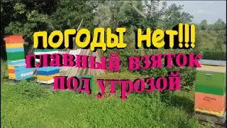 Погоды нет  Главный взяток под угрозой