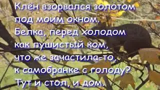 Осень и белка на клёне / Autumn and a Squirrel on a Maple Tree