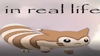 Furret does the opposite of what the comments tell him to do 6
