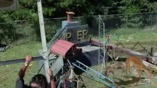 The Walking Dead - two amazing CGI deer