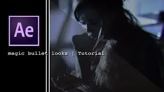 How To Use Magic Bullet Looks | Tutorial