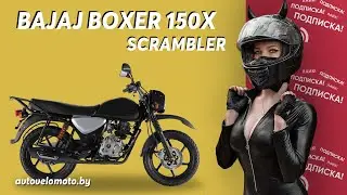Bajaj Boxer 150X Scrambler