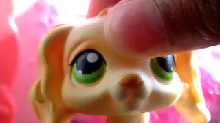 About goldenlpsproductions