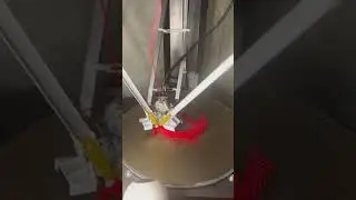 Dragons 3D printing delta printer