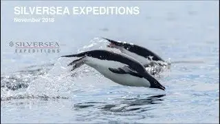 Экспедиционные круизы класса Премиум. Маршруты Silversea