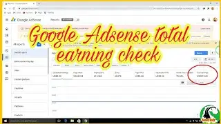 How to check total earning in google adsense | total earning in google adsense | Google Adsense