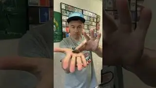 Сгибание монеты одной рукой 