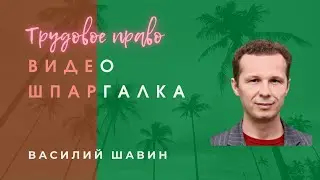 Видео шпаргалка 5. Роль и функции трудового права