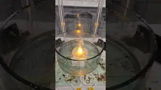 Sodium Floating On Paper.....Surprising!