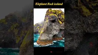 Elephant Rock iceland😳 #trending #youtubeshorts #youtube #shorts #short #amazingfacts #fyp #animals
