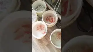 Отправка Дискусов в Донецк 