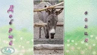 Один день в июне