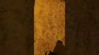 уи уи уи .