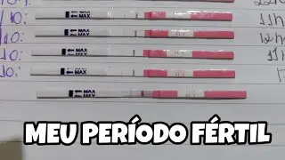 ACOMPANHANDO MEU CICLO 🌈 DIÁRIO DE TENTANTE