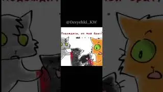 Озвучка - @Lightreedi || Монтаж - Озвучки КВ || #котывоители #мемы