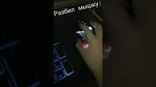 бедная мышка(((