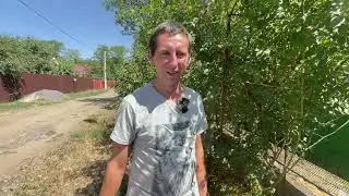 I treated the blogger for mosquitoes and flies. MOVING TO THE SOUTH WITHOUT MONEY