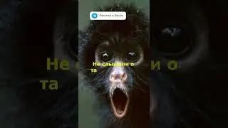 Факт №37. Самый большой город в мире.  #факты #наука #интересные