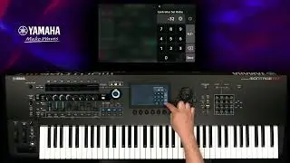 Montage M Tips | Morph Between Parts Using The Ribbon Controller