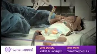 Human Appeal y tu, Reconstruyendo Gaza Juntos.