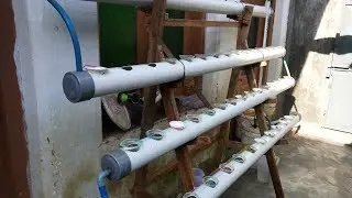 Simple DFT Hydroponic Installation 4-pipe PVC pipe