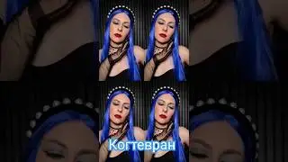 Когтевран 🦅 