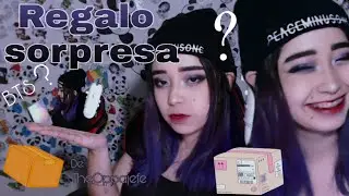 REGALO SORPRESA ¿QUIEN ME LO ENVIA? | Song Hyun Ri 🐼