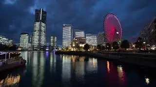 TOWERS Milight 2019