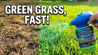 Does Hydro Mousse Liquid Lawn Grass Spray Work?