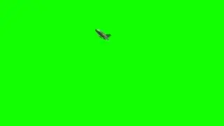Mig-21MF fighter jet, North Vietnam, move, green screen