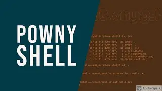 P0wny Shell  ||  Best PHP reverse shell