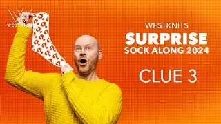 CLUE 3 - Color Popportunity Socks