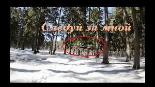 полет за Мариной среди деревьев