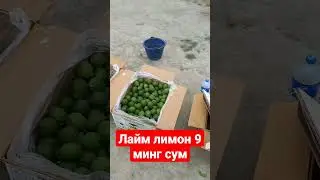 20 сентября 2022 г.