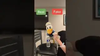 donaldducc real or fake