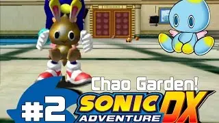 Sonic Adventure DX %100 Walkthrough - Chao Garden - Part 2