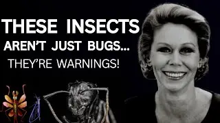 Did You Know That Insects That Appear In Your Home Have SPIRITUAL Meaning?