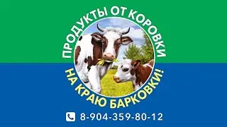 Уже весна/ банер установили/прогулка  крс