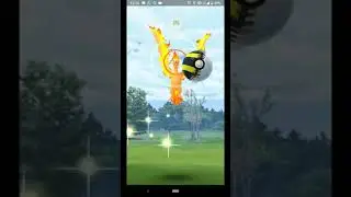 Pokemon go community day December 2019